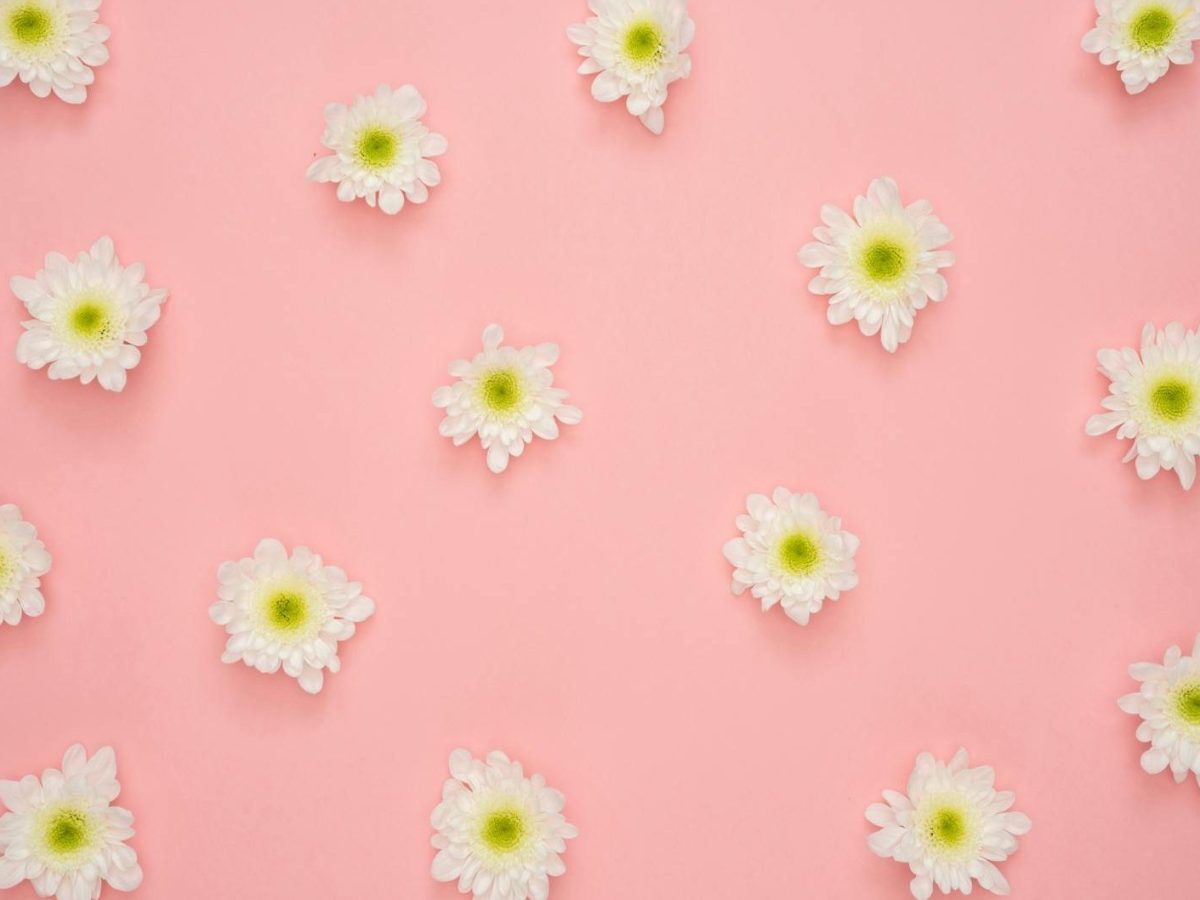 Pedagogisk-psykologisk tjeneste (PPT) 