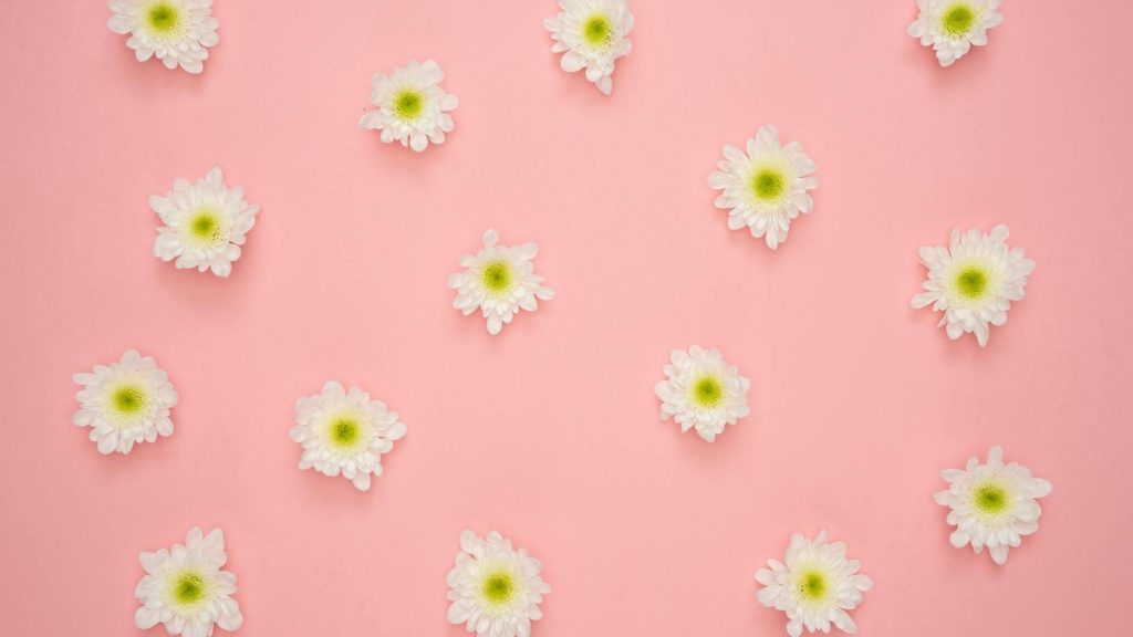 Pedagogisk-psykologisk tjeneste (PPT) 